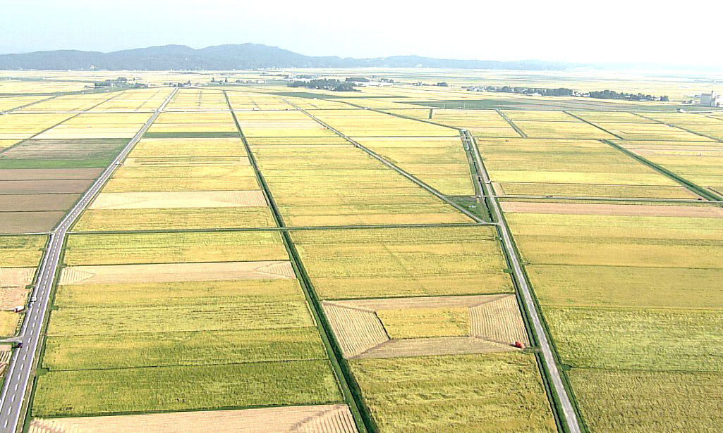 大崎平野